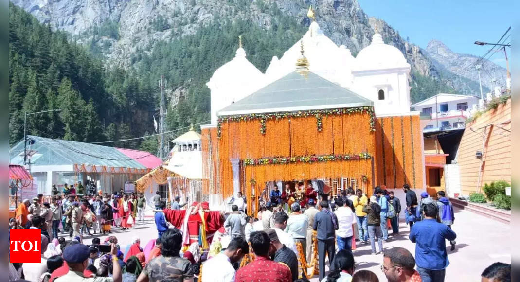 char dham:   Priests sore, Dhami says no Char Dham cap on pilgrims | India News – Times of India