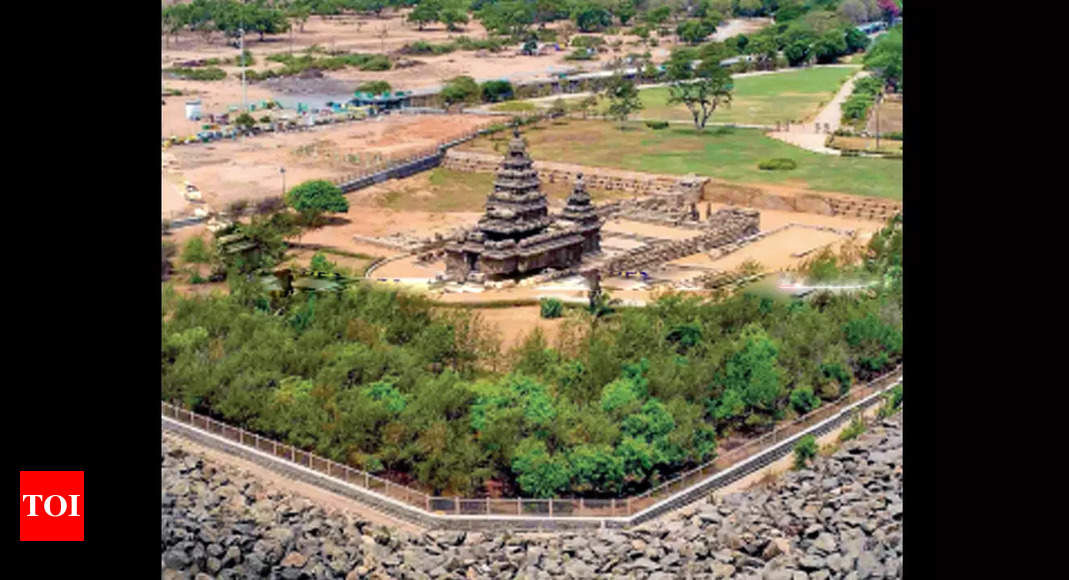 Mamallapuram a 1st century site: Carbon dating