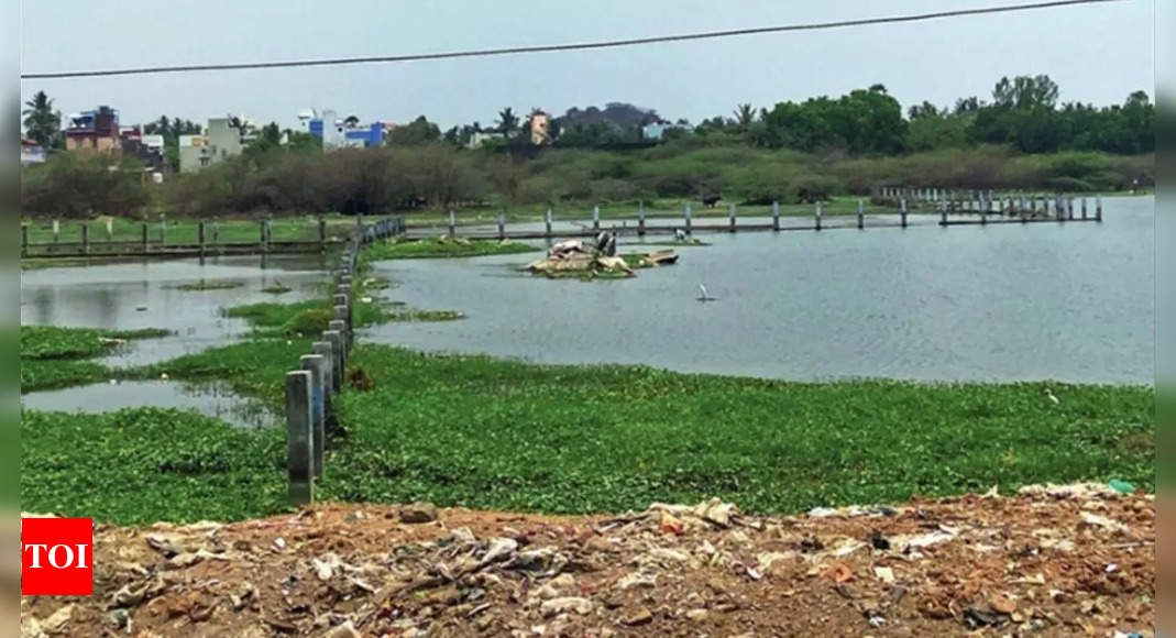 TN: Encroachers mark out plots on Keelkattalai lake