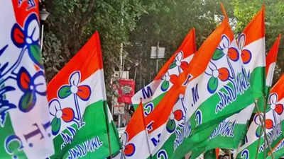 Central leaders without mass base won’t help BJP: TMC