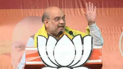 Difficult to stop infiltration, smuggling without local administration's support: Amit Shah in Bengal