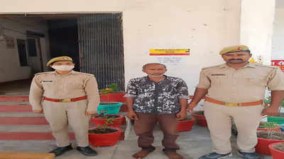 Uttar Pradesh: Cops pose as ‘mango traders’ to nab evasive sleazy stalker