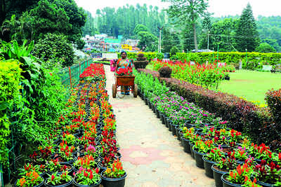 Yercaud Gears Up For Summer Festival | Coimbatore News - Times of India