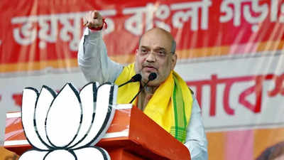 CAA will be implemented once Covid is over: Amit Shah