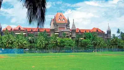 Sameer Wankhede moves Bombay HC against panel's notice to cancel his second caste certificate