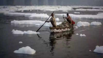 Delhi: Swamy jumps in for clean Yamuna
