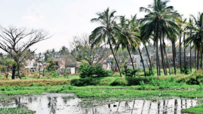 Water from none of the eight lakes in Mysuru city fit for consumption