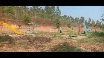 Work on Saalumarada Thimmakka Park in Navalur proceeding apace