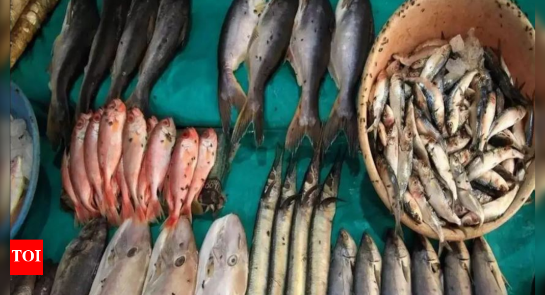 Pakistan: Punjab imposes 10-yr commercial fishing ban after fish stock ...