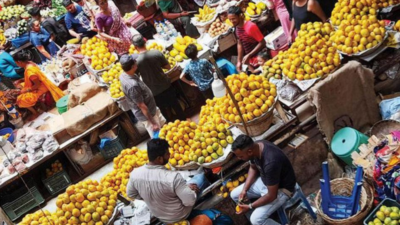 Goa: Mancurad mango prices drop drastically with early harvesting