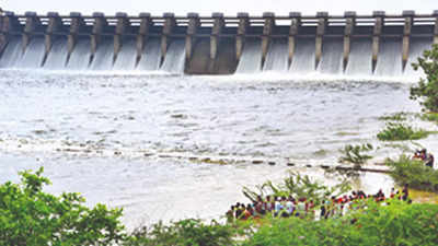 Andhra Pradesh steps up pumped hydro storage projects amid coal crisis