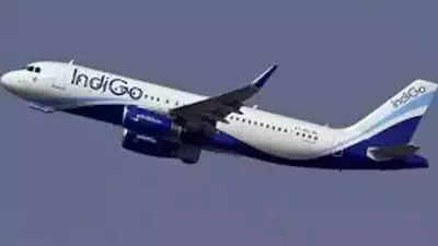 Specially-abled child barred from boarding flight: IndiGo CEO offers regrets, says staff took best possible decision in difficult situation