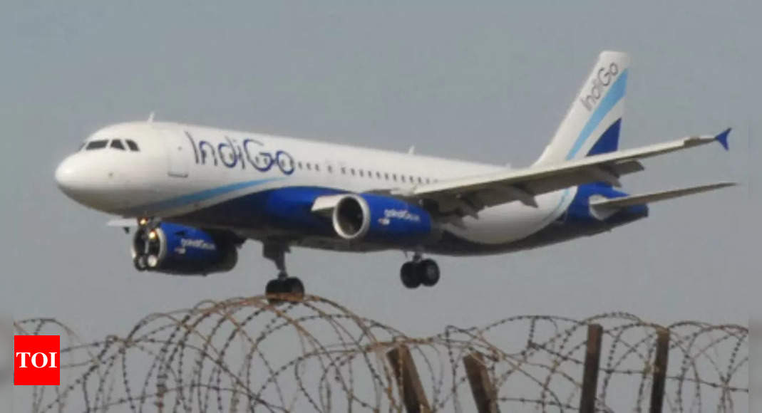 IndiGo incident: DGCA forms fact-finding team; airline CEO offers to buy electric wheelchair for specially-abled child – Times of India