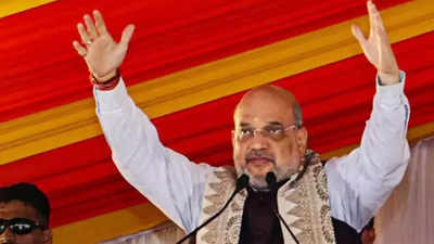Birth, death registers will be linked to Census: Amit Shah