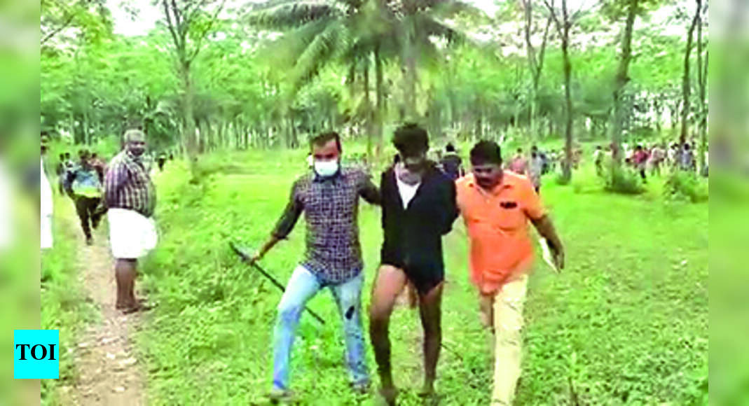 P&t Colony Folk Thrash Rowdies Coimbatore News Times of India