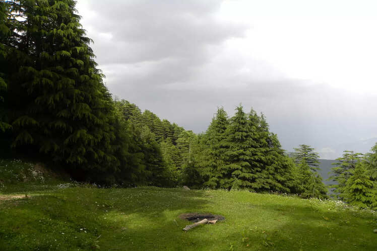 Kalatop - Khajjiar Sanctuary, Himachal Pradesh