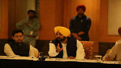 CM Bhagwant Mann announces single window for investors in all districts