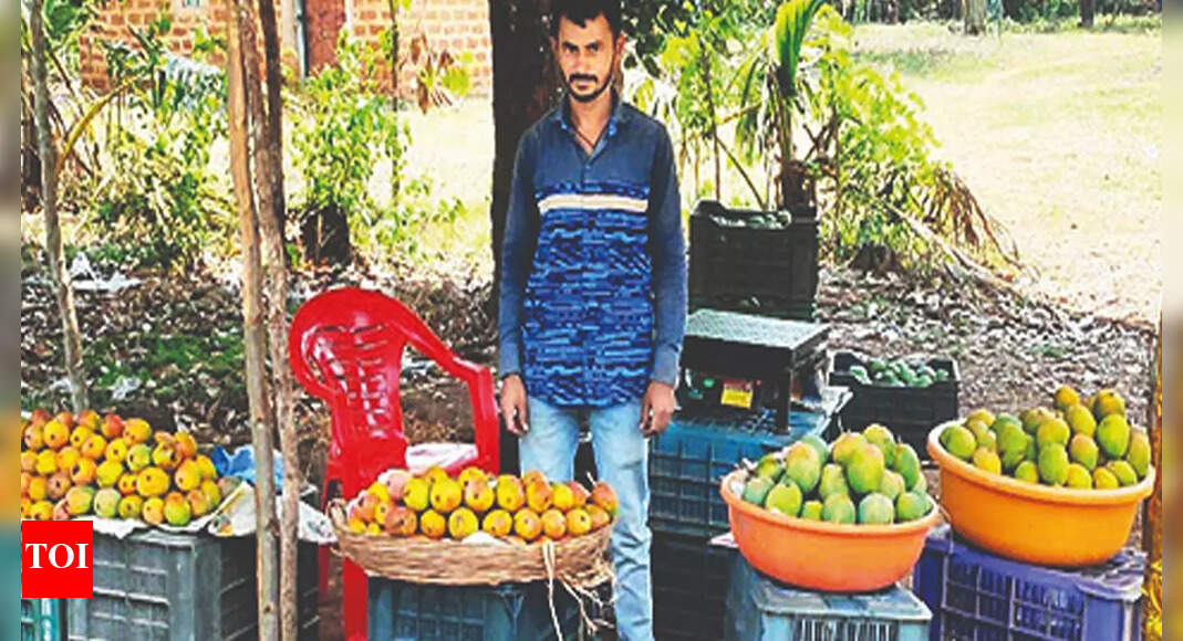 Mango Mango Mela In City After Twoyear Gap Hubballi News Times of