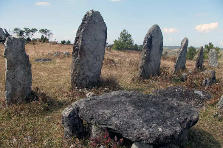 Mawphlang Sacred Grove