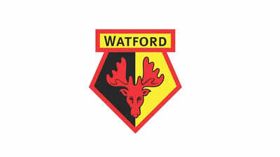 Watford appoint Forest Green coach Edwards to succeed Hodgson
