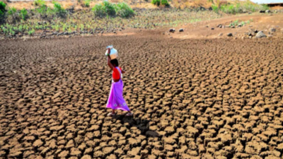 Droughts Reduced India GDP By 2-5% Over 20 Years: UN | India News ...