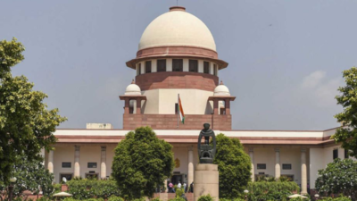 Supreme Court puts controversial sedition law on hold