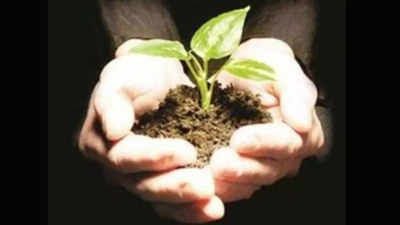 To increase green cover, Noida to plant 10 lakh saplings