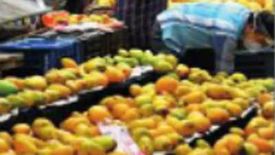 Lucknow: Expect no plateful of Dussehri mangoes this summer