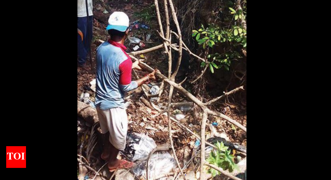 Goa: Candolim PHC begins drive against vector-borne diseases