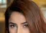 This diet plan helped Shehnaaz Gill drop 12 kilos