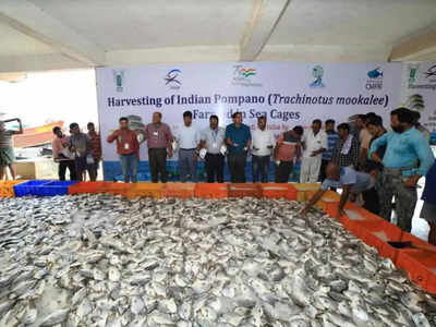Marine fish species to be cultivated via cage culture off Ganjam, Puri coast