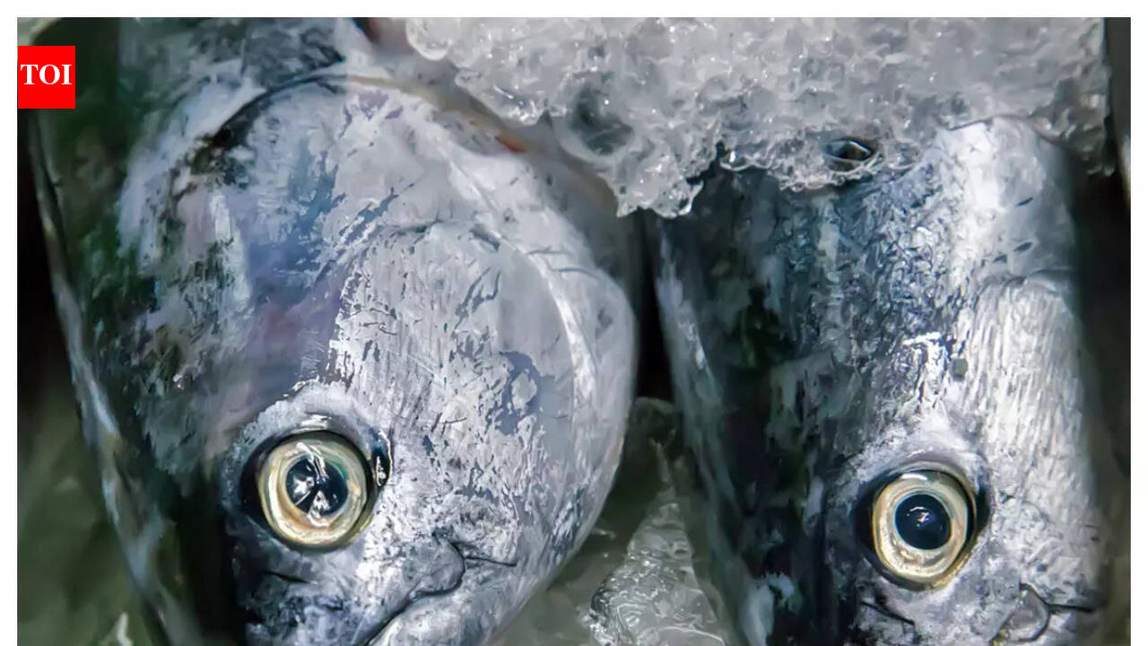 Tips and tricks to check the freshness of fish like a Bengali
