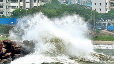 Cyclone Asani claimed 3 lives, damaged crops across Andhra Pradesh