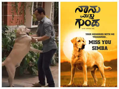 ‘Bangalore Days’ fame dog Simba passes away