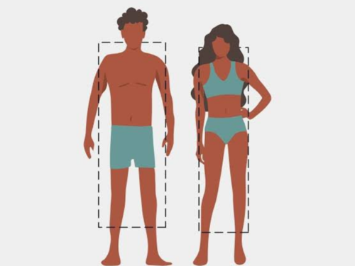 Busting Common Myths about the Mesomorph Body Type