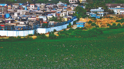 Mumbai: Juhu’s beautiful secret lake faces damage by hyacinth