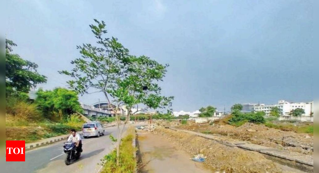 Velachery Debris On Taramani velachery Link Road Risks Motorists