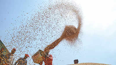 Congress slams wheat export ban, says move 'anti-farmer'