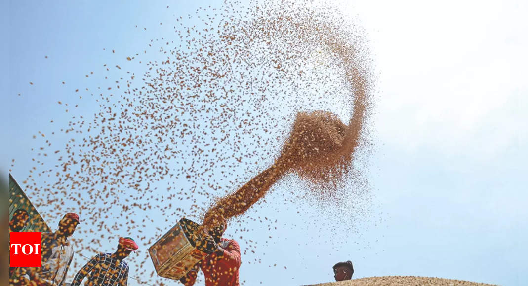 Govt slashes wheat allocation for 10 states to tide over any crisis | India News – Times of India
