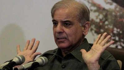 Shehbaz Sharif govt to abolish China-Pakistan Economic Corridor authority: Report