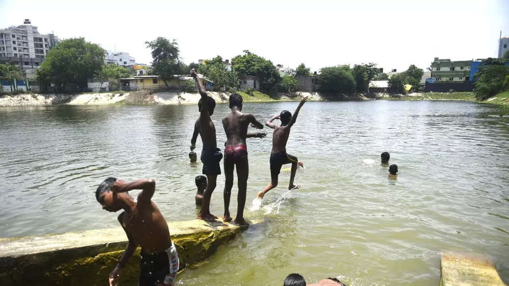 In pics: Boys take a dip in Chennai lake to beat the heat