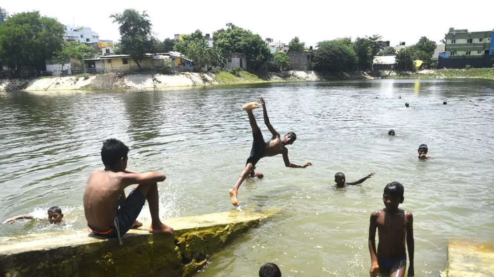 In pics: Boys take a dip in Chennai lake to beat the heat