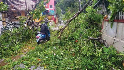 Taking lessons from 2021’s devastation, Goa revamps disaster management ...