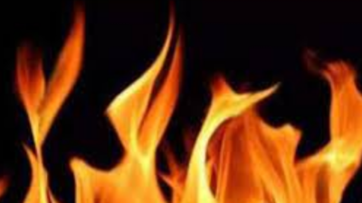 Odisha: Man who set himself on fire near Ganjam SP’s office dies in Berhampur