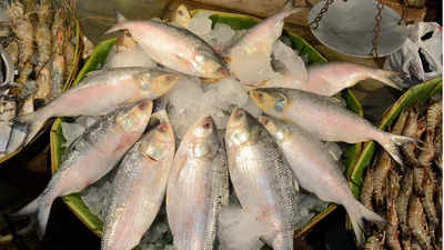 Demand-supply gap turns fish dearer in Kolkata markets