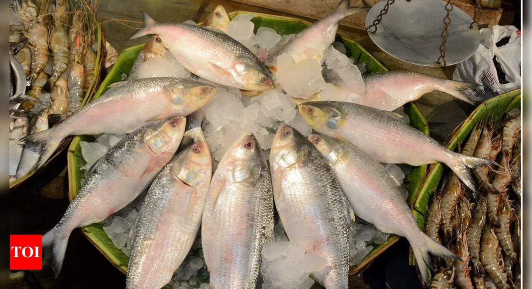 Demand-supply gap turns fish dearer in Kolkata