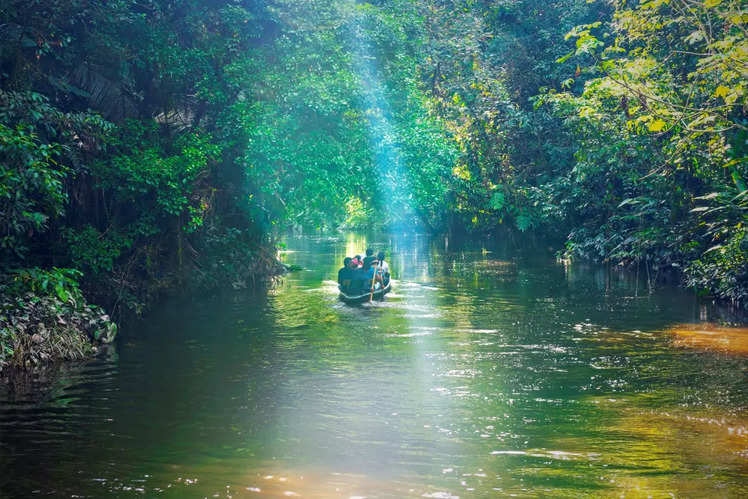 Amazing facts about the Amazon River we bet you didn’t know! | Times of ...