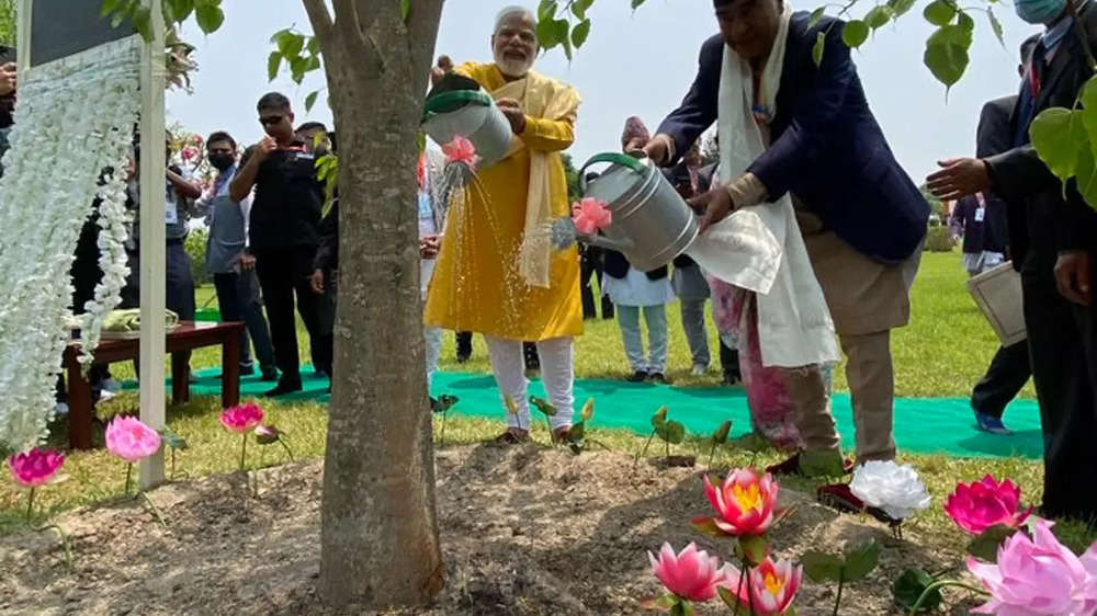 The two leaders water the Bodhi tree sapling from Bodh Gaya, which was gifted by Modi to Lumbini in 2014.