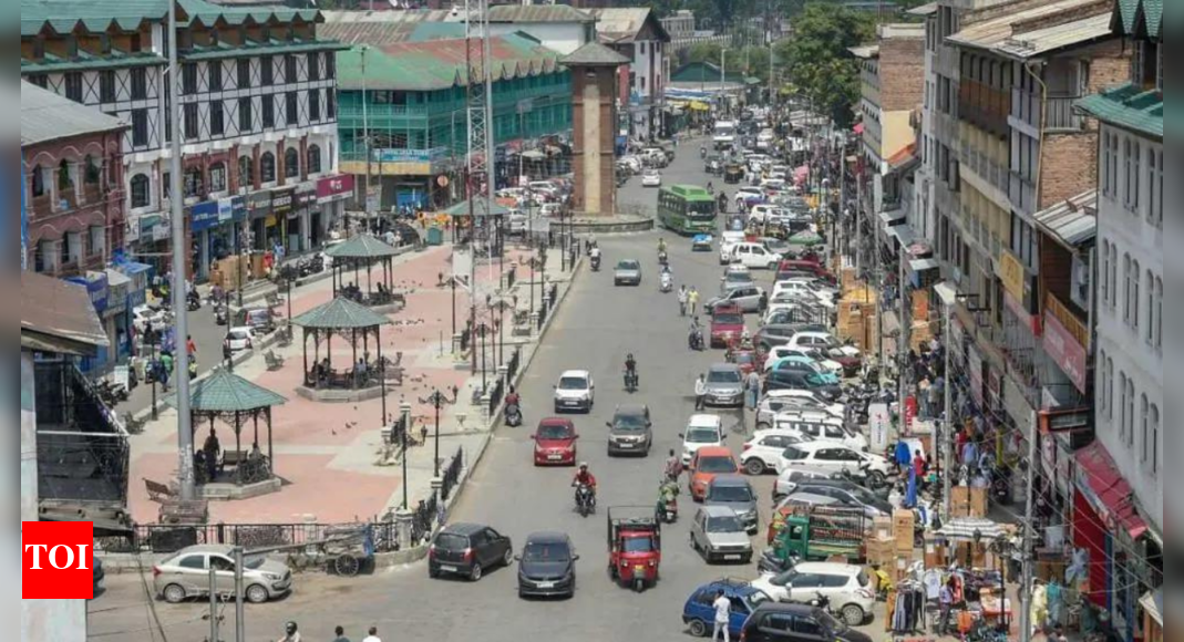 India slams OIC for remarks on J&K delimitation exercise