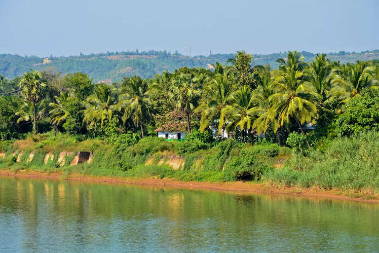 Mangalore River Cruise